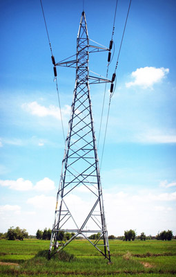 Design of Power Distribution Networks